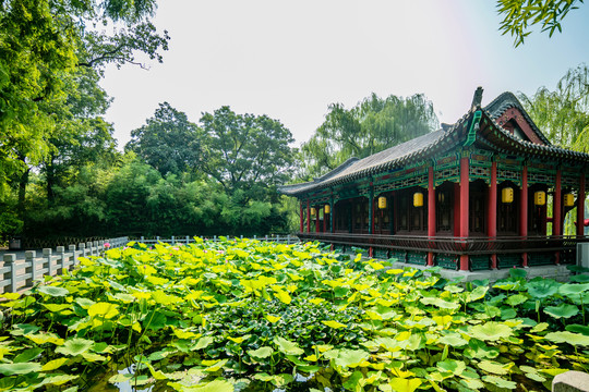 济南大明湖建筑之雨荷厅