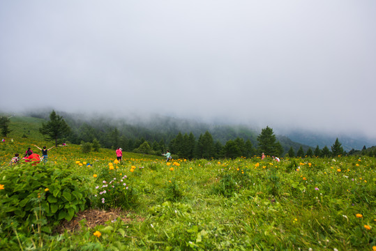 驼梁风景区82