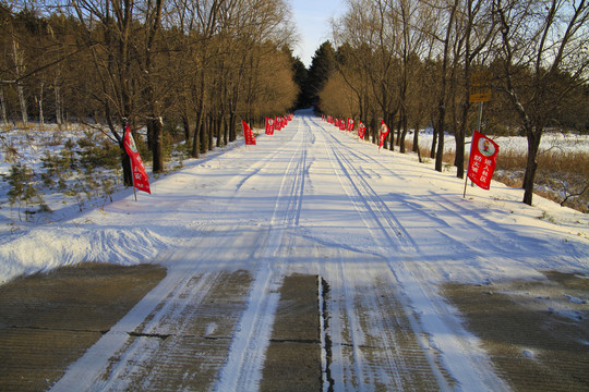 白雪雪景冬天车辙