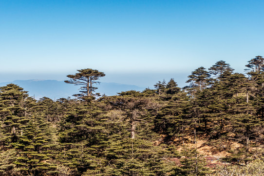 云南大理苍山风光