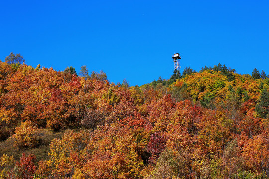 五花山