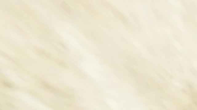 石紋