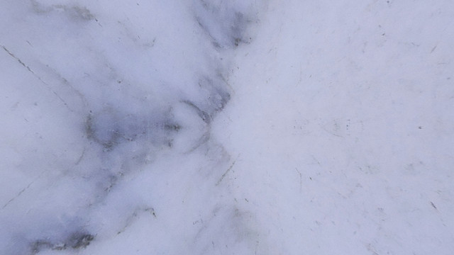 紋理