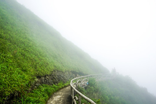 雾蒙蒙的武功山