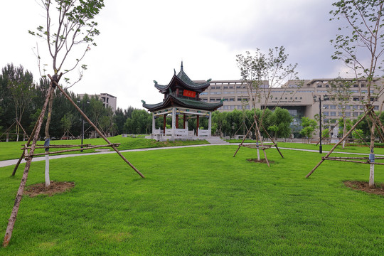 东北农业大学