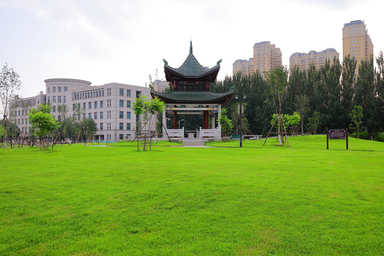 东北农业大学