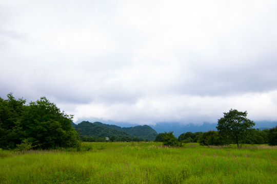 大九湖