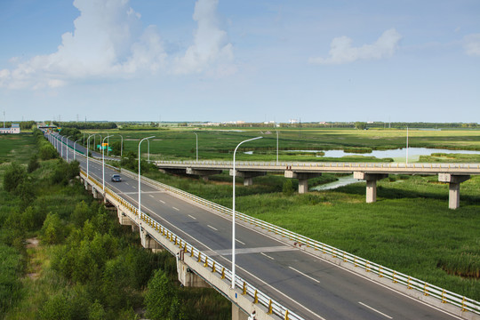 高架桥湿地