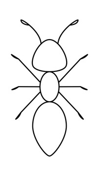 螞蟻簡(jiǎn)筆畫(huà)