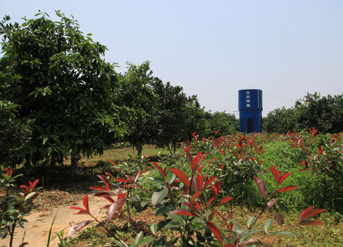 生态灌溉设施