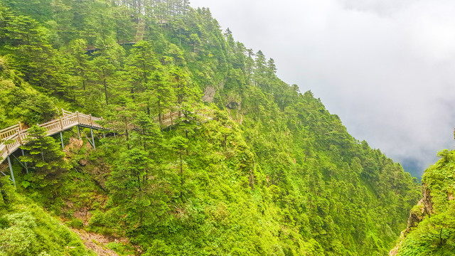 高山云海