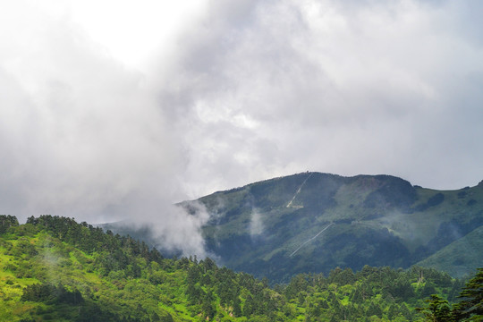 高山云海