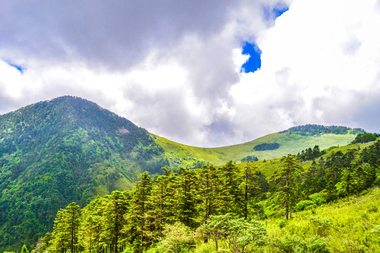 高山云海