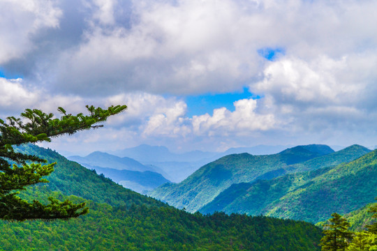 高山云海