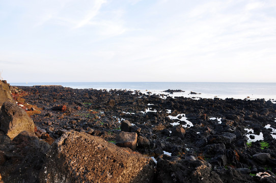 济州岛