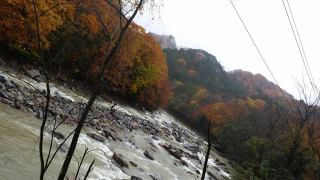 山水风景画红枫森林