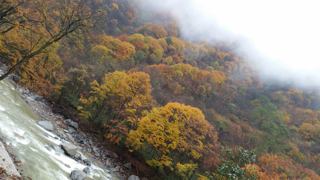 山水风景画红枫森林