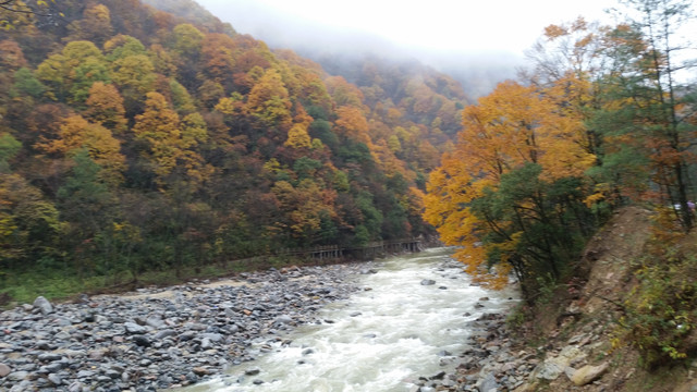 山水风景画红枫森林