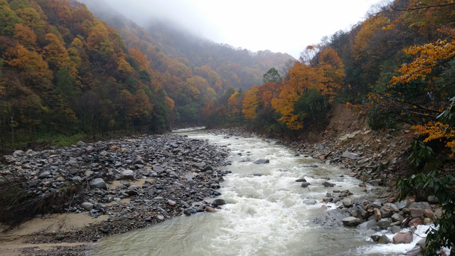 山水风景画红枫森林