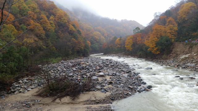 山水风景画红枫森林