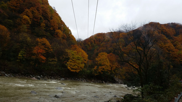 山水风景画红枫森林