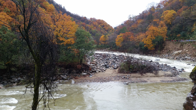 山水风景画红枫森林