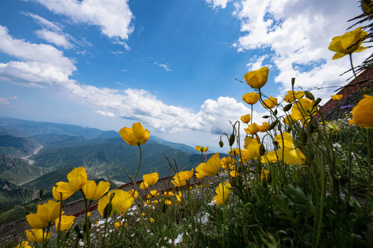 五台山