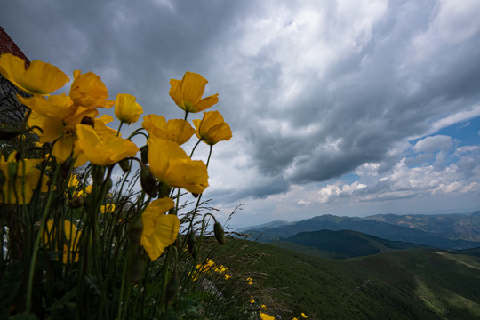 五臺山