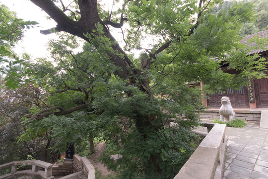 净业寺寺院