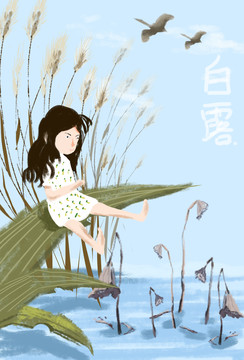 白露節(jié)氣手繪插畫