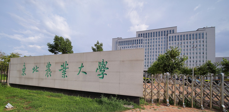 东北农业大学