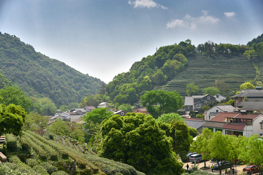 西湖龙井村