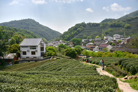 西湖龙井村