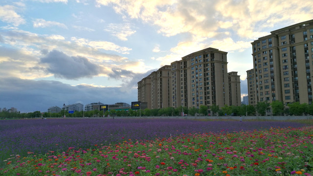 生态园林城市风光