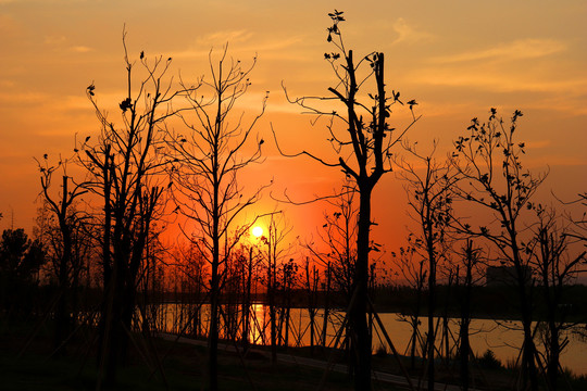 河边的夕阳