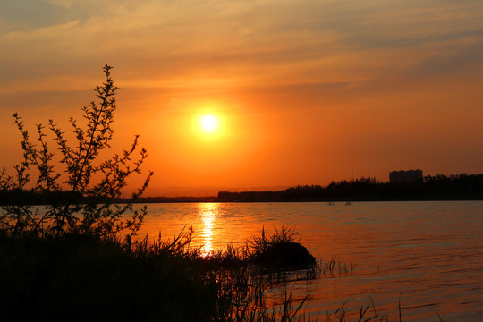 夕阳下的河水