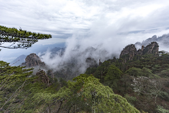 黄山风光