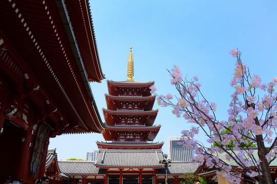 日本浅草寺