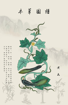 黃瓜