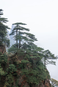 安徽黄山风光