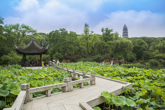 虎丘园林