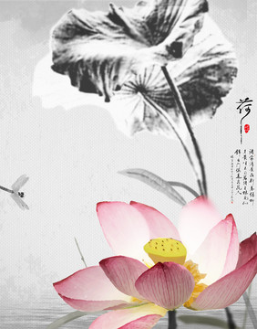水墨荷花