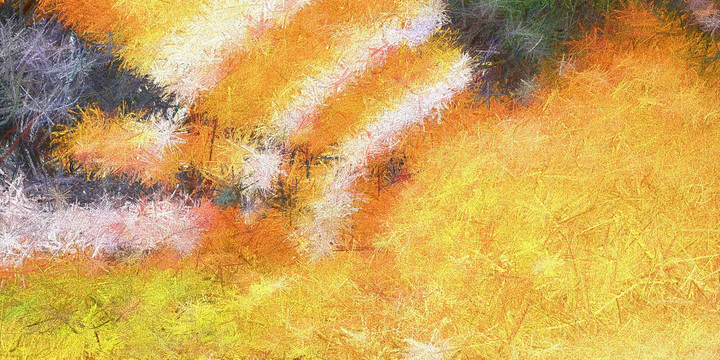 掛畫