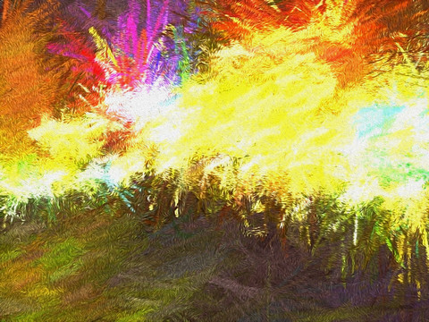 掛畫