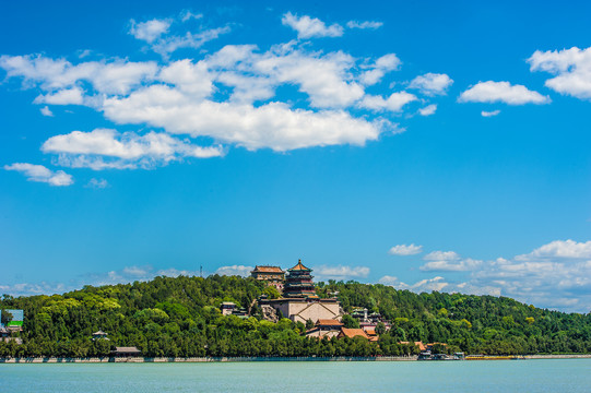 北京颐和园夏日湿地风光