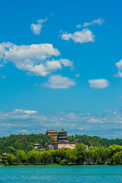 北京颐和园夏日湿地风光