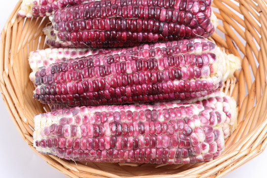 紫糯玉米