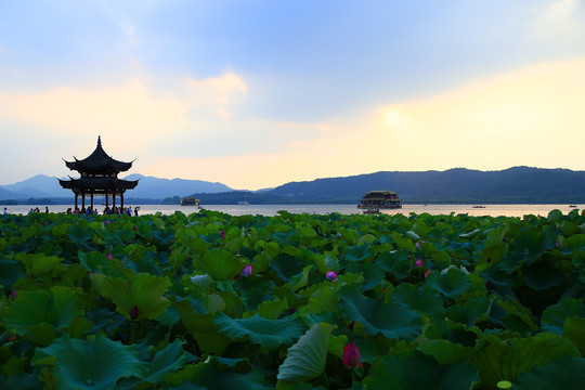 杭州西湖美景