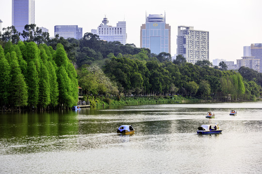 广州麓湖公园