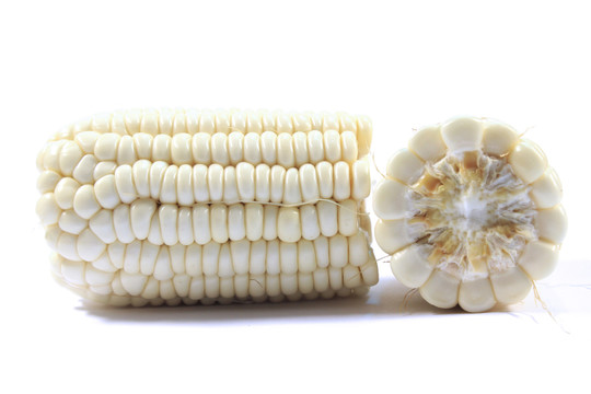 白底上的两个半节白色玉米